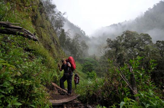 Tim pendaki merdeka.com taklukkan Gunung Semeru