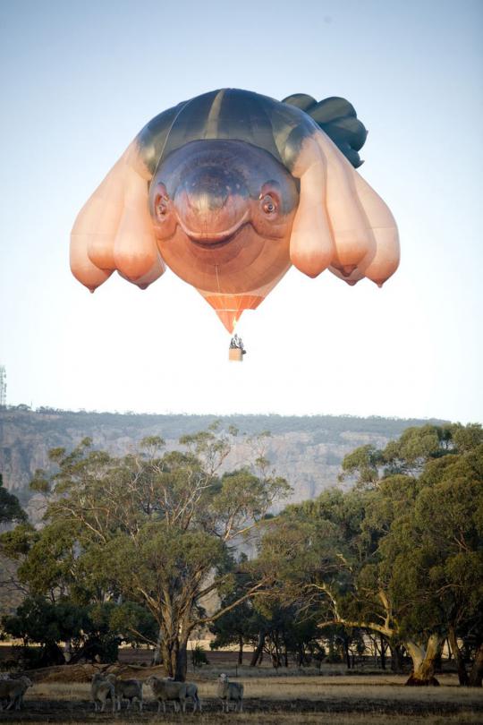 Melihat 'Skywhale' balon udara terbesar di dunia