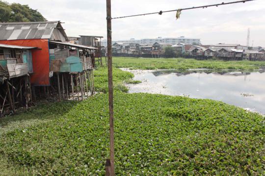 Warga Pluit menanti kepastian proyek normalisasi waduk