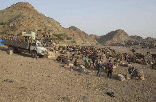 Kisah para pencari garam di tengah panasnya gurun Ethiopia