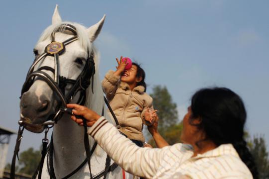Terapi kesehatan dengan hewan