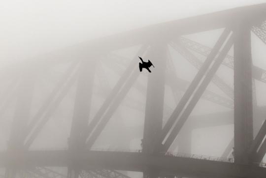 Kabut tebal selimuti Kota Sydney