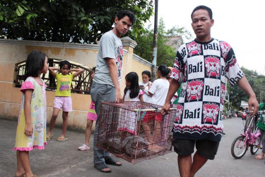 Heboh, warga Jati Padang temukan phyton 3,5 meter