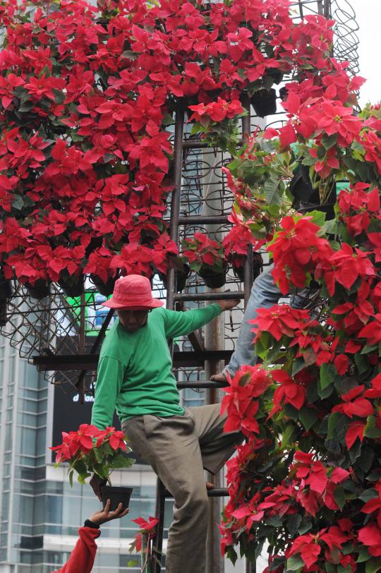 Sambut HUT ke-486 DKI Jakarta, sudut kota dihiasi tanaman bunga