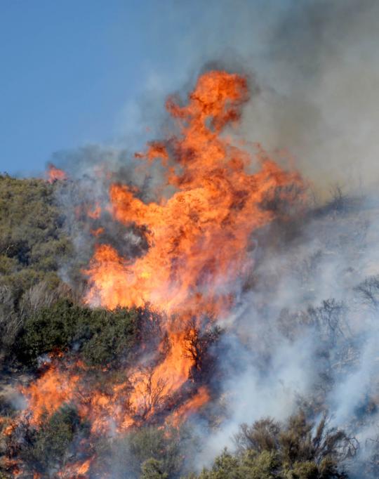 Cara orang Amerika padamkan kebakaran 29.500 hektare hutan