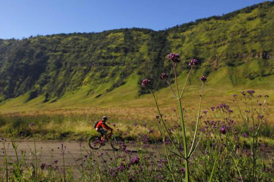 Asyiknya mendaki Kaldera Bromo dengan bersepeda