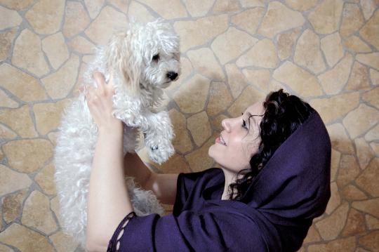 Tren para wanita Islam di Iran hobi memelihara anjing