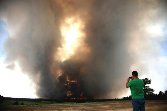 Jago merah melalap hutan belantara Amerika