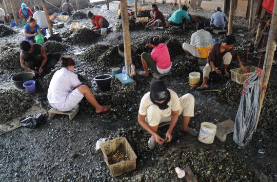 Kisah semangat para ibu pengupas kerang di Muara Angke