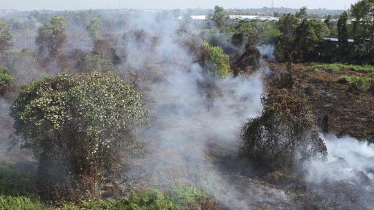 Ini kebakaran hutan di Riau yang kirim asap hingga Malaysia