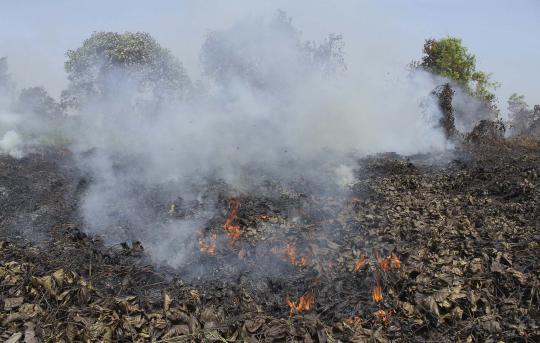 Ini kebakaran hutan di Riau yang kirim asap hingga Malaysia