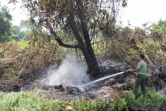 Ini kebakaran hutan di Riau yang kirim asap hingga Malaysia