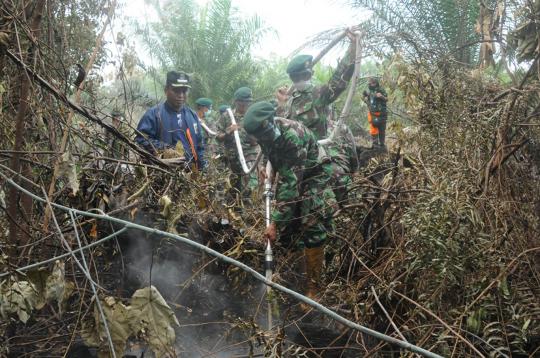 Kostrad berhasil padamkan sejumlah titik api kebakaran Riau