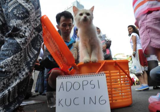 Yang menggemaskan di car free day