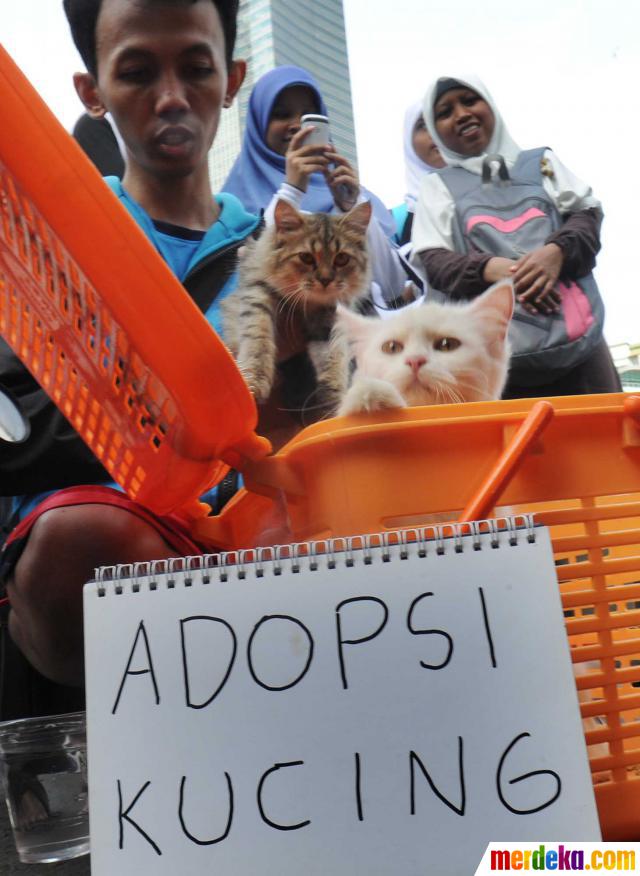 Foto : Yang menggemaskan di car free day merdeka.com