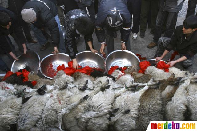 Foto : Menengok keseharian umat Islam di Xinjiang, China 