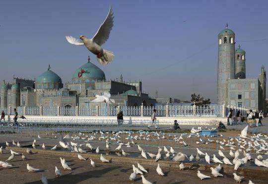 Masjid Biru, dipercaya sebagai makam Ali bin Abi Thalib