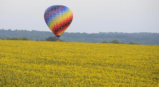 Ratusan balon udara hiasi langit Chambley Bussieres, Prancis