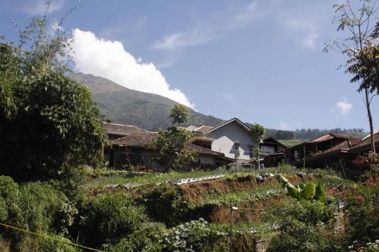 Mengintip bagian dalam rumah dukun jagal Muhyaro