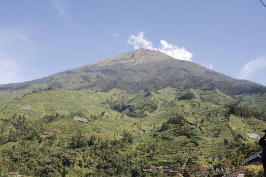 Mengintip bagian dalam rumah dukun jagal Muhyaro