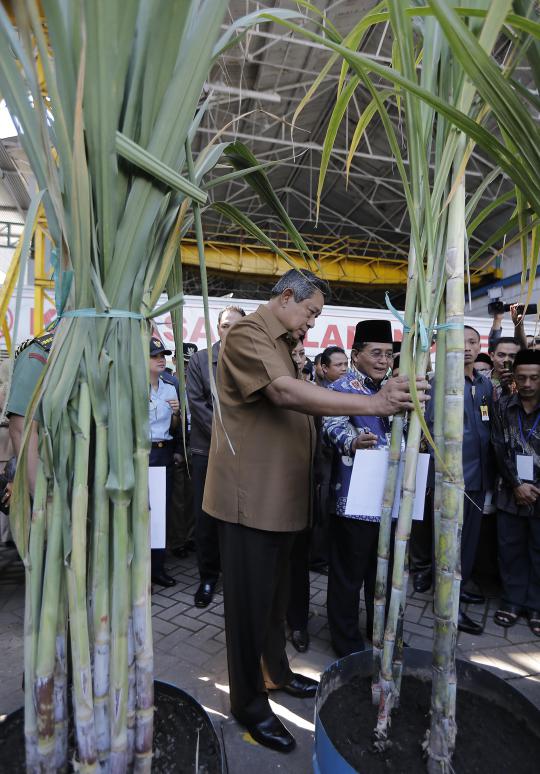 SBY tinjau pabrik gula Jatiroto di Lumajang