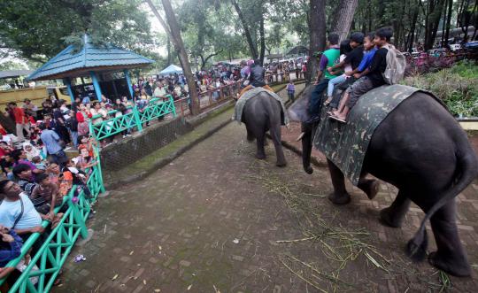 Hari ke-3 lebaran, warga serbu Kebun Binatang Ragunan