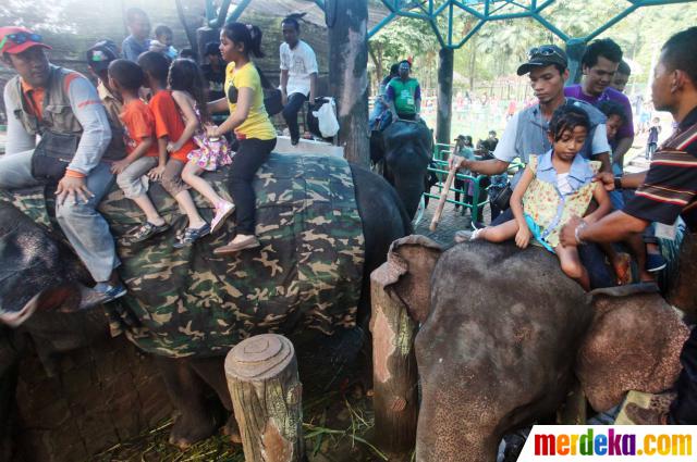 Foto : Hari ke-3 lebaran, warga serbu Kebun Binatang 