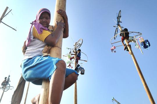 Meriahnya lomba panjat 100 pohon pinang