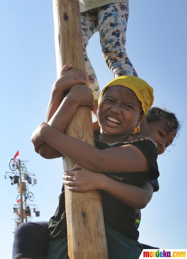 Foto : Meriahnya lomba panjat 100 pohon pinang merdeka.com