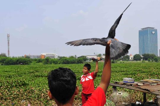 Ini tampang Waduk Ria Rio yang mau dipercantik Jokowi