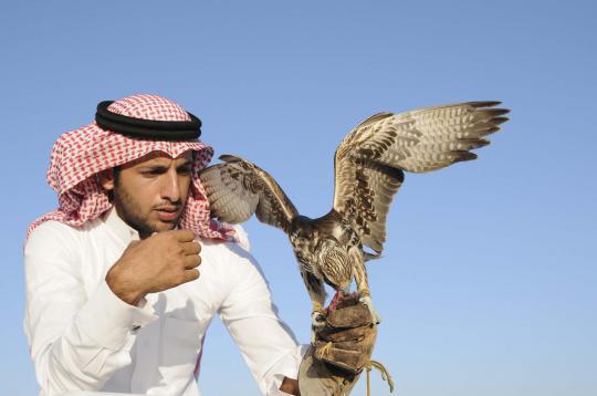 Falconry, berburu bersama elang kegemaran raja di Arab Saudi