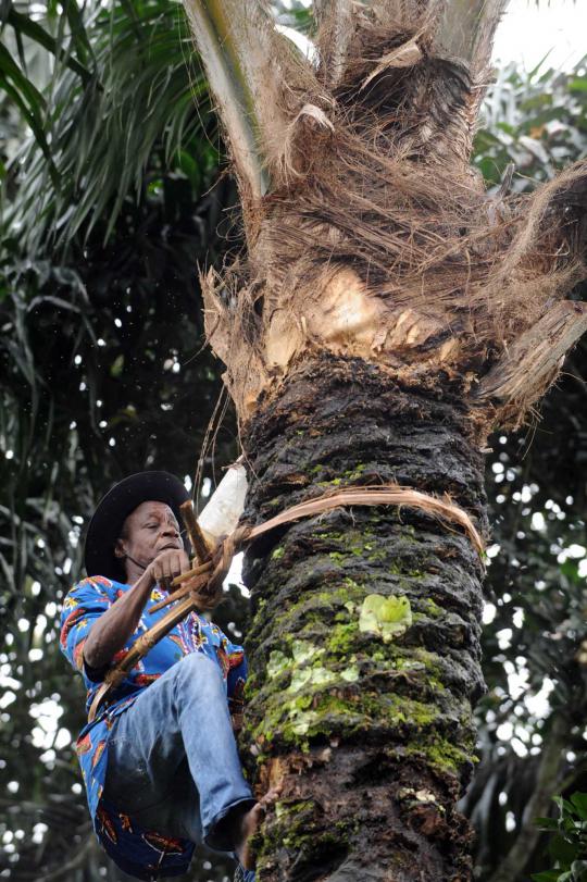 Mengenal Ogogoro, tuak tradisional asal Nigeria