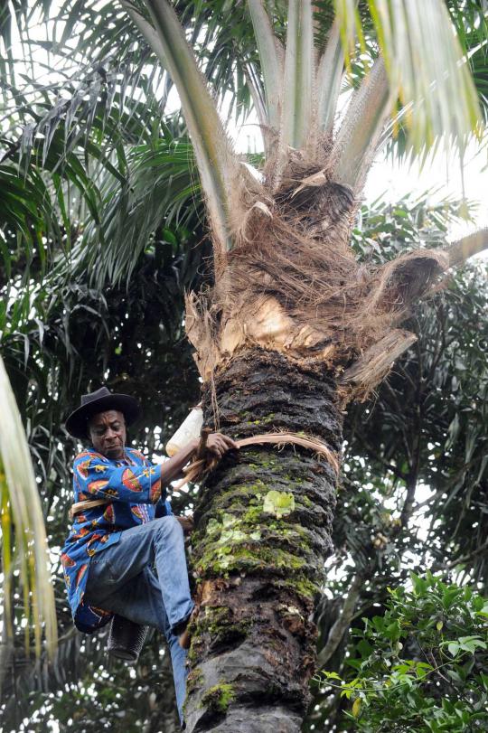 Mengenal Ogogoro, tuak tradisional asal Nigeria