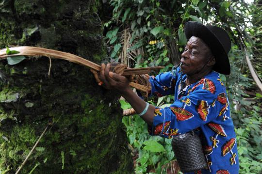 Mengenal Ogogoro, tuak tradisional asal Nigeria