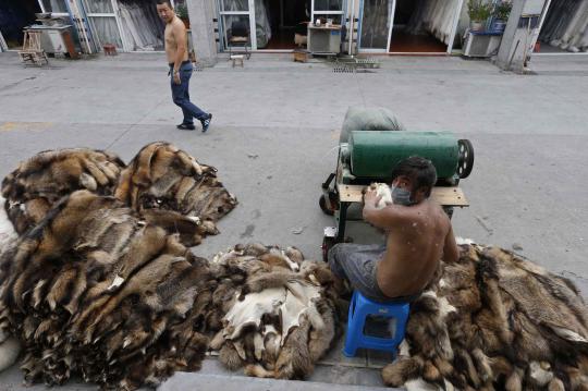 Menengok desa industri penghasil bulu anjing terbesar di China