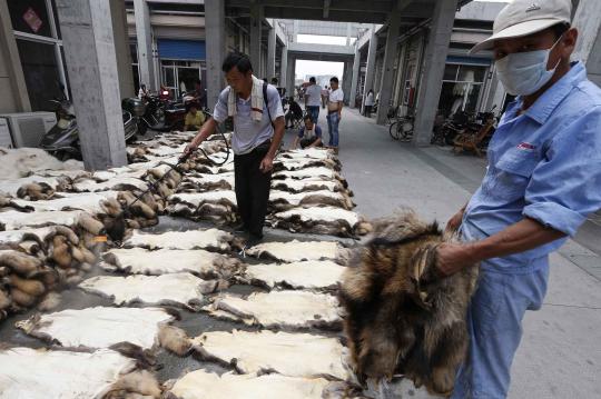Menengok desa industri penghasil bulu anjing terbesar di China