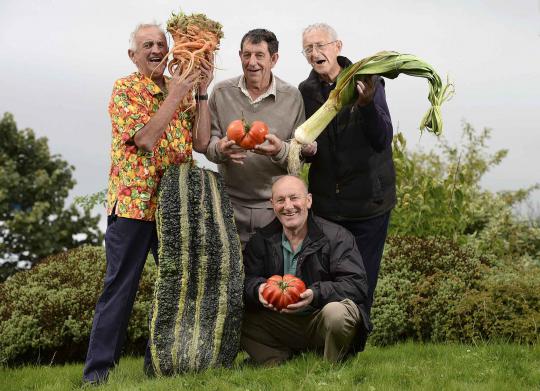 Hebohnya sayuran raksasa di Festival Musim Gugur Inggris