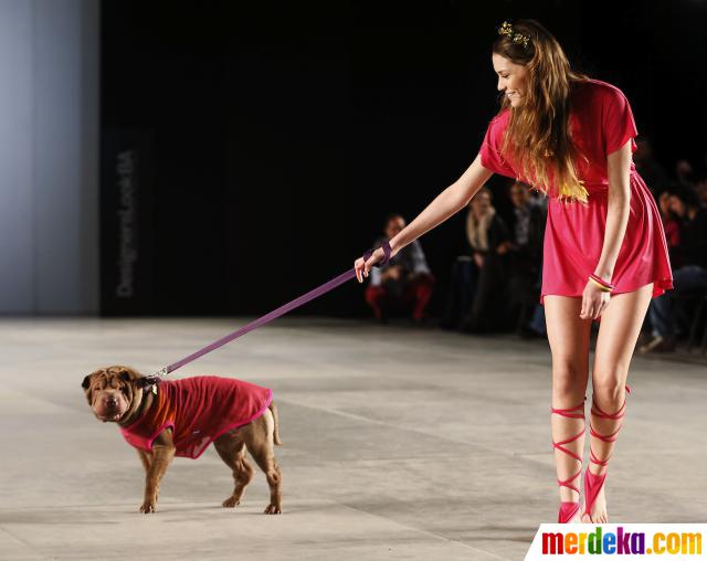 Foto : Anjing lucu ini dampingi model cantik di catwalk 