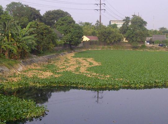 Ini Waduk Tomang Barat selanjutnya yang mau dinormalisasi Jokowi