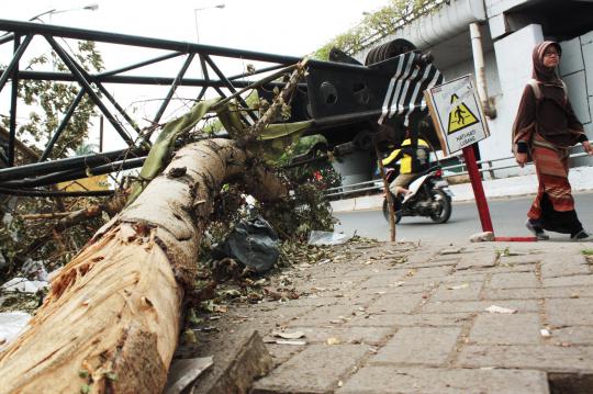 Crane maut di Kp Melayu masih dibiarkan mangkrak