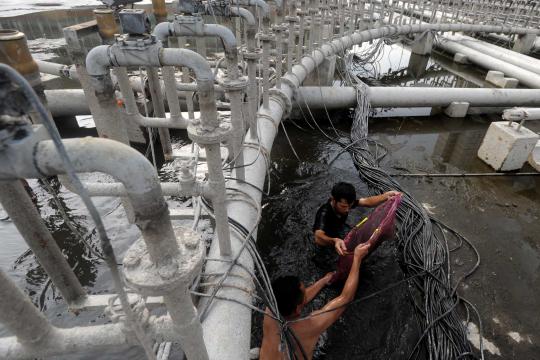 Direnovasi, Bundaran HI menjadi tempat mencari ikan
