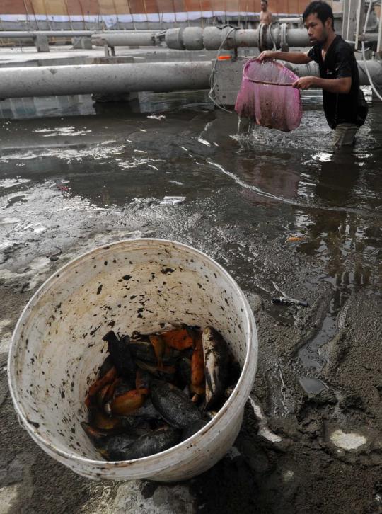 Direnovasi, Bundaran HI menjadi tempat mencari ikan