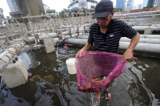 Direnovasi, Bundaran HI menjadi tempat mencari ikan