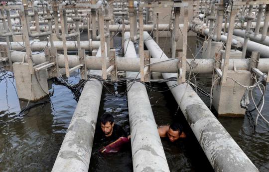 Direnovasi, Bundaran HI menjadi tempat mencari ikan