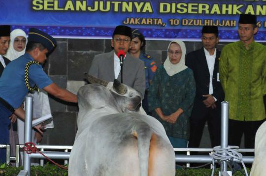 Usai salat Id, SBY kurban sapi seberat 1 ton di Masjid Istiqlal
