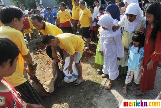 Foto : Penyembelihan hewan kurban di Tangsel jadi tontonan 