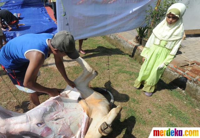 Foto : Penyembelihan hewan kurban di Tangsel jadi tontonan 