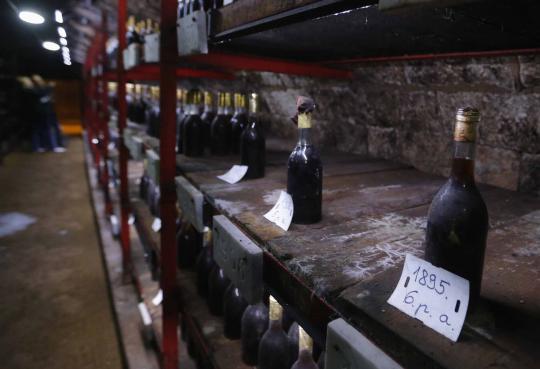 Mengunjungi ruang penyimpanan wine ratusan tahun di Hungaria