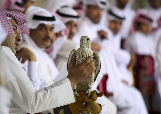 Ratusan elang di Qatar dilelang dengan harga Rp 60 juta