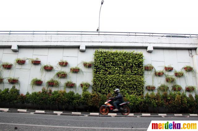 Foto : Indahnya taman vertikal di Jakarta merdeka.com